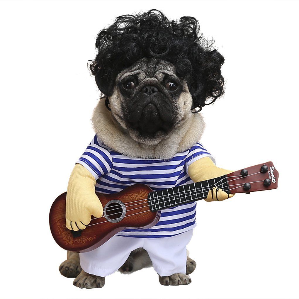 Fitz the guitarist